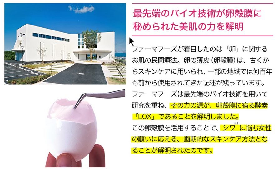 珠肌ランシェル